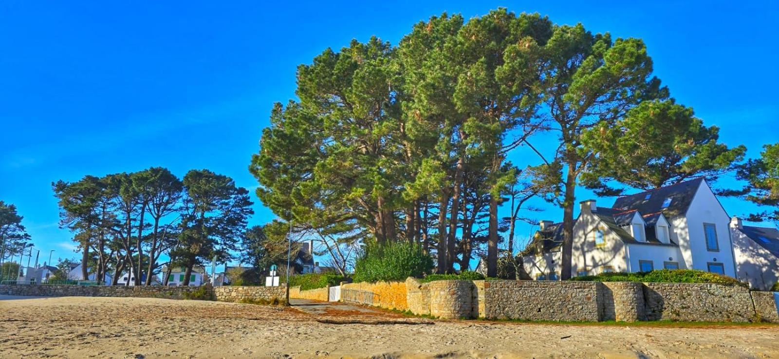 Cocon Neuf - 6 A 8 Pers 3 Chb Proche Plage, Port, Centre Ville サン・ピエール・キブロン エクステリア 写真